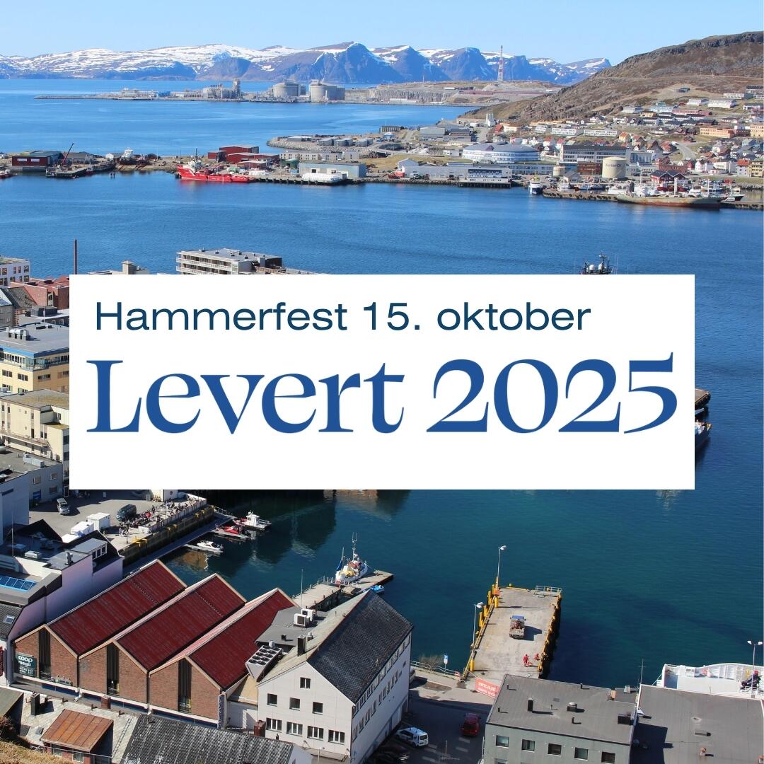 Flyfoto av Hammerfest havn og by med teksten &laquo;Hammerfest 15. oktober &ndash; Levert 2025&raquo;.